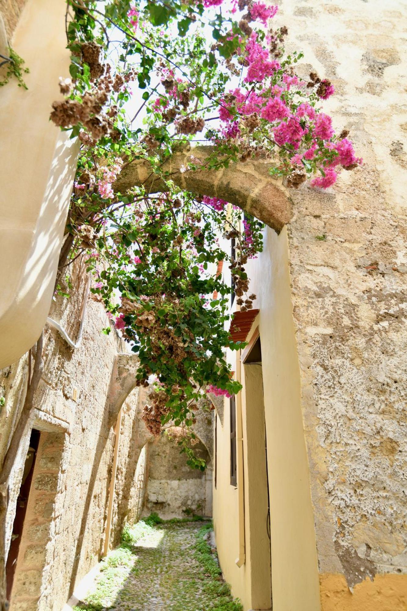 Penelope Garden House Old Town Apartment Rhodes City Bagian luar foto