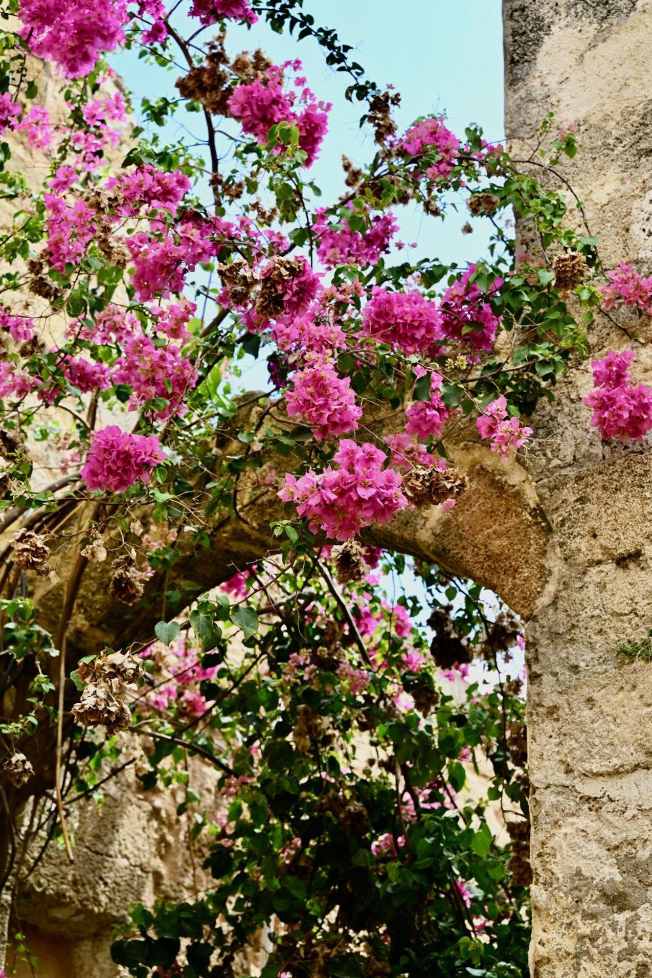 Penelope Garden House Old Town Apartment Rhodes City Bagian luar foto